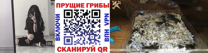 ОМГ ОМГ онион  Задонск  Псилоцибиновые грибы Magic Shrooms 